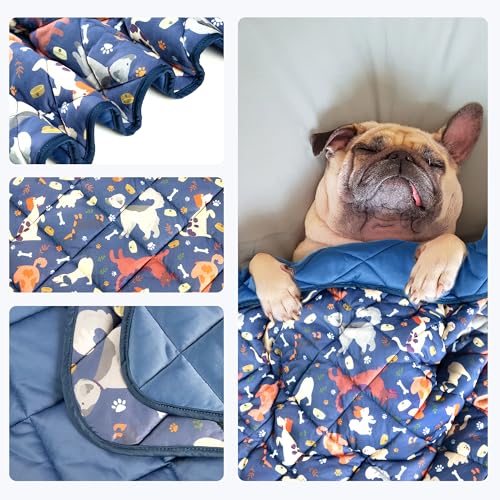 wegreeco Pet Dog Cooling Mat, Outdoor Dog Cooling Pad, Lightweight Bed Cooling Blanket for Dogs and Cats,Small Medium Large Puppy Cool Pad for Dogs,Cute S - color: Dog, size: Small