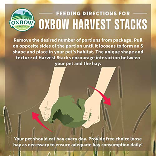 Oxbow Harvest Stacks, Timothy Hay, Rabbits & Guinea Pigs, Carrot, 35 oz | Compressed Timothy Hay Stacks For Rabbits, Guinea Pigs & Chinchillas, Less Dusty, Travel Friendly, Easy to Feed, Made in USA