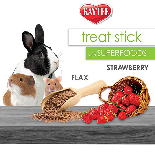 Kaytee Small Animal Treat Stick with Superfoods, Strawberry & Flax Seed, 5.5 oz - size: 5.5 Ounce (Pack of 1), style: Strawberry & Flax Seed