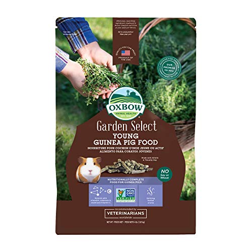 Oxbow Garden Select Young Guinea Pig Food, Uniform Guinea Pig Pellets, 4 lb | Guinea Pig Food, Timothy Hay, Alfalfa, High Fiber for Digestive Health, Vitamins & Minerals, Prevents Selective Feeding - size: 4 Pound (Pack of 1)