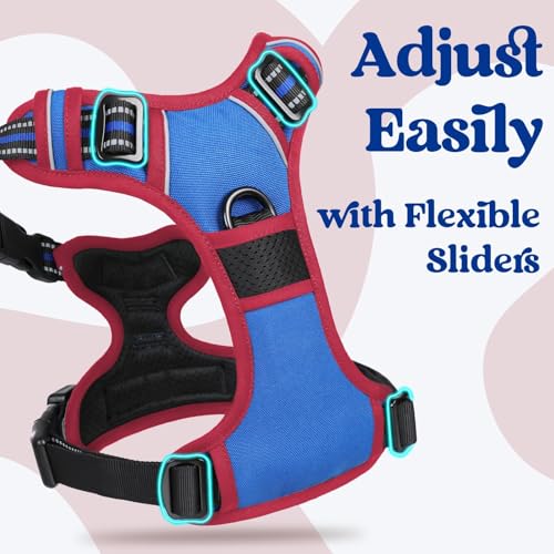 rabbitgoo Dog Harness Small Sized, Updated Easy On & Off with 3 Buckles | No Pull No Choke, Walking with 2 Clips and Handle, Adjustable Soft Reflective, Blue & Red, Small - color: Blue & Red, size: Small