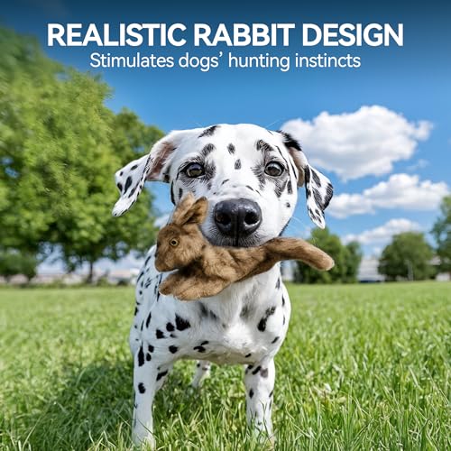 ALL FOR PAWS Squeaky Dog Toys, Dog Stuffed Animal Toys, Plush Toy for Small Medium Large Dogs, Puppy Chew Toy with Squeaker, Brown Rabbit-S | Plush Toy for Small Medium Large Dogs, Puppy Chew Toy with Squeaker, Brown Rabbit-S - size: Small (Pack of 1)