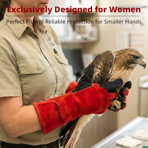vclpower Animal Handling Gloves Size M Fit for Women & Small Hands Bite Proof Double Leather Reinforced Padding Dog,Cat Scratch,Bird Handling Falconry Gloves Grabbing Reptile Squirrel Snake Bite 16in | Size M Fit for Women & Small Hands - size: M