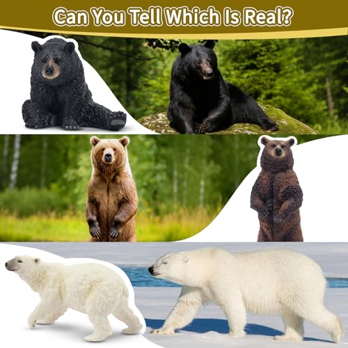 Toymany 6PCS Realistic Bear Figurines Set - Plastic Bears Toy with Grizzly, Black Bear, Polar Bear and Cubs, Wild Animals Figures Education Toy Cake Toppers Christmas Birthday Gift for Kids Toddlers - style: Bears (Brown, Black, Polar)
