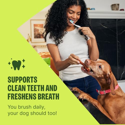 Wellness WHIMZEES Brushzees Natural Dog Dental Treat, VOHC Accepted Chews, Freshens Breath, Extra-Small Size, 4.2 oz Bag, 16 Count - size: 16 Count (Pack of 1)