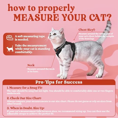 rabbitgoo Cat Harness and Leash Set, Escape Proof Vest, Black | Soft Breathable Mesh, Easy Adjustable Fit, Snap Buckles, Sturdy Clip, Reflective Strips, for Small & Average Cats Walks, Xs - color: Black, size: Xs