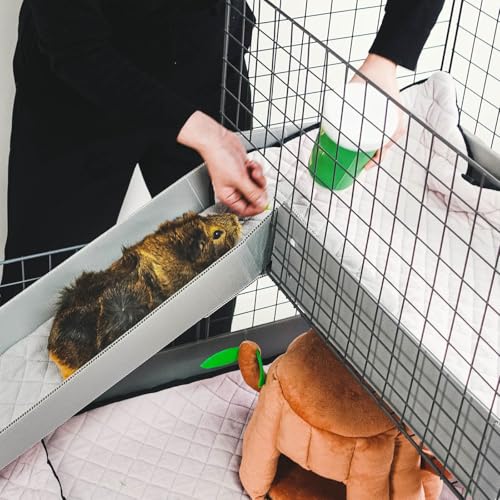 GuineaDad Piggy Condo – Premium C&C Cage with Balcony, Ramp, & Pillars for Guinea Pigs & Small Animals with Coroplast Base | Acrylic, C&C Grids for Small Pets (Acrylic, Standard (29" x 58.5" x 42"))