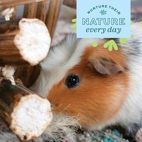 Oxbow Enriched Life Hanging Sunflower Chew Small animal enrichment chew toy - style: Sunflower Chew