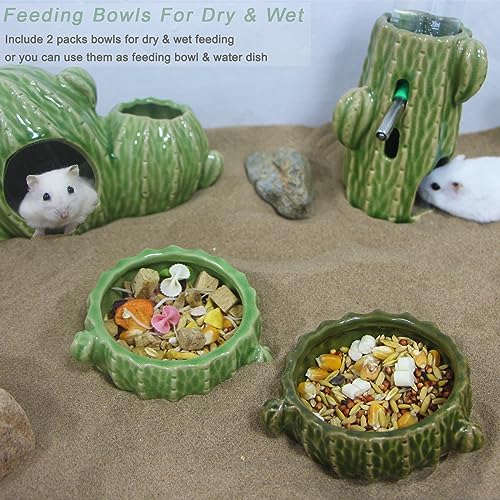 2 Pack Green Cactus Ceramic Hamster Food Bowl Anti-Tip Water Dish | Durable & Heavy Duty Ceramic Feeding Drinking Bowl for Gerbil Mouse Chinchilla Hedgehog Guinea Pig, Cute Desert Cactus Decor