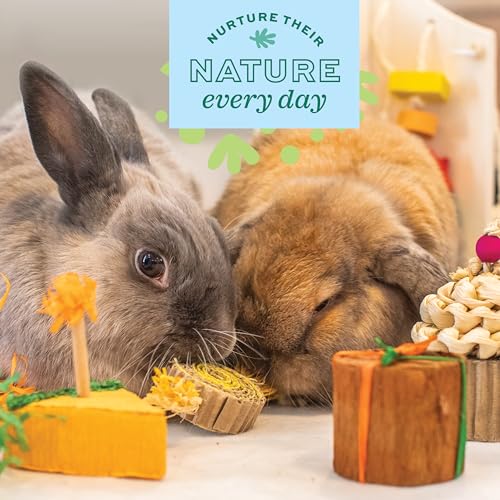 Oxbow Birthday Party Pack, Rabbit & Guinea Pig Toys, Bunny Enrichment Toys | Rabbit Chew Toys, Guinea Pig Enrichment, Guinea Pig Chew Toys, Rabbit Enrichment, Natural Materials, Small Pet Accessories - style: Birthday Pack