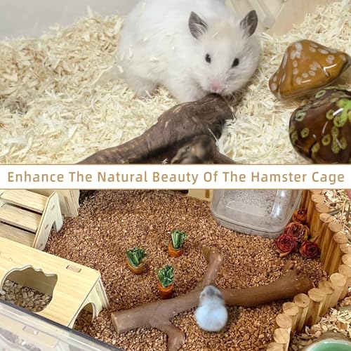 kathson 2PCS Wood Hamster Climbing Branches Decor, Natural Wooden Syrian Hamster Climb Chewing Toys, Rat Exercise Toys, Small Animal Habitat Decor Accessories for Dwarf Pets, Gerbils, Mice (7.8IN) - size: 7.8IN