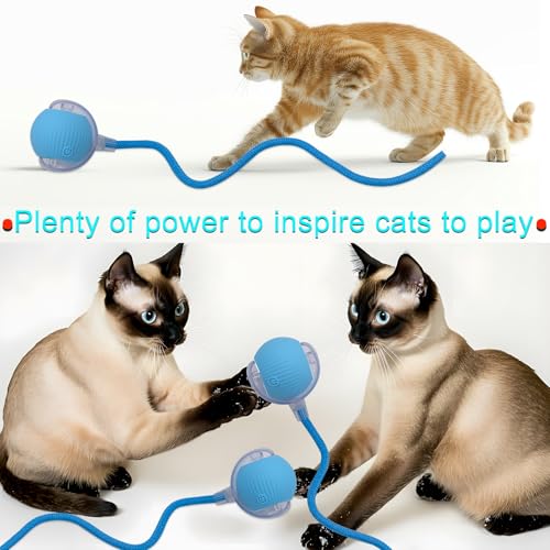 Interactive Cat Dog Toy Ball with LED Light, Automatic Rolling(Blue) | String Tail and LED Light Design, Motion Activated, Suitable for Interactive Indoor Pet Play and Exercise - color: Blue