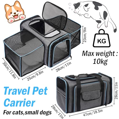 Vivicreate Cat Carrier Airline Approved Soft Sided Pet Carrier for Cats and Small Dogs Collapsible Travel Cat Bag with Ventilation Mesh Shoulder Strap and Fleece Pad