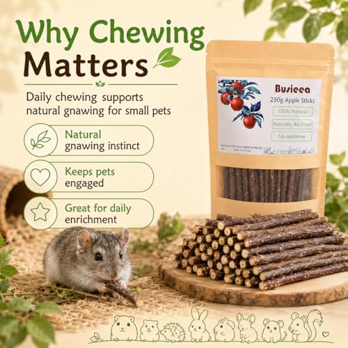Premium Natural Apple Sticks - 100g/3.52 OZ MINI Trial Pack - Perfect for 1 Pet, Molar Chew Treats for Rabbits Chinchillas Guinea Pigs Hamsters Small Animals - size: 3.6 Ounce (Pack of 1)