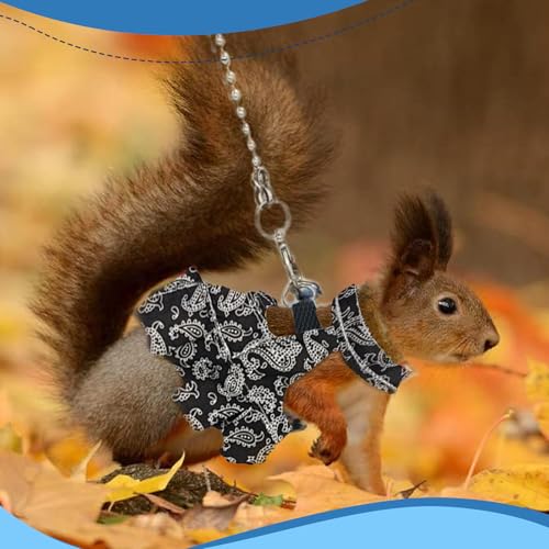 Guinea Pig Harness Skirt Clothes and Leash, Adjustable Hamster Ferret Harness and Leash Set, No Pull Walking Vest for Ferrets, Chinchillas and Similar Small Animals (Black S - color: Black, size: S