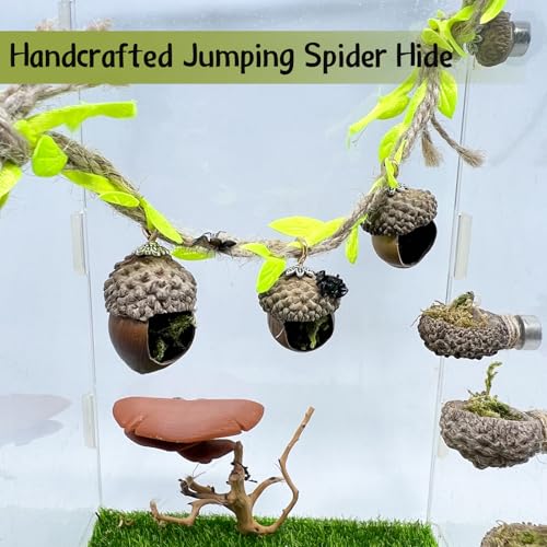 Jumping Spider Hide, Magnetic Climbing Rope Bridge, Handmade Real Acorn Hideaway Cave, Spider Platform, Decorative Accessory for Small Reptile Enclosures (Style 2) - style: Style 2