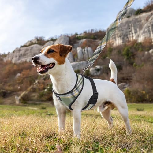 PUPTECK Soft Mesh Dog Harness and Leash Set Pet Puppy Cat Comfort Padded Vest No Pull Harnesses, Green/Yellow, S - color: Green&Yellow, size: S (NECK: 12", CHEST: 14"-18")