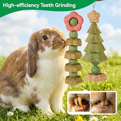 4 Pack Rabbit Chew Toys Bunny Treats, Prevent Teeth Overgrowth, Chew Toys for Guinea Pig/Hamster, Made with Timothy Hay & Vegetables for Rodent Pets, Small Animal Toys