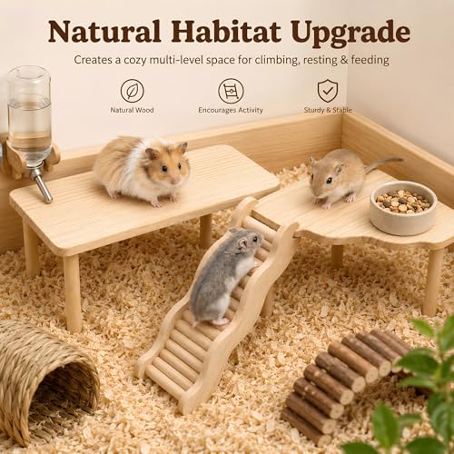 3-Piece Hamster Wood Platform Set with Wave Climbing Ladder, Natural Cage Accessories with Food & Water Stations, Climbing Enrichment for Dwarf, Syrian Hamsters, Mice & Gerbils