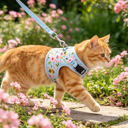 BINGPET Cat Harness and Leash Set, Escape Proof and Adjustable, Medium | Step-in Vest, Lightweight Soft Breathable Mesh, Hook & Loop, Easy Control for Small & Medium Cats Walking Travel - color: Flower, size: Medium