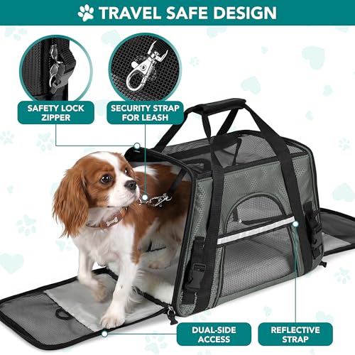 PetAmi Airline Approved Pet Carrier for Cats & Small Dogs, Small, Dark Gray | Soft Sided TSA Travel Bag, Sherpa Bed, Breathable Mesh Ventilation, Collapsible Bowl, Fits Under Seat, Up to 18 lbs - color: Dark Gray, size: Small - 17"L x 10.2"W x 11.2"H