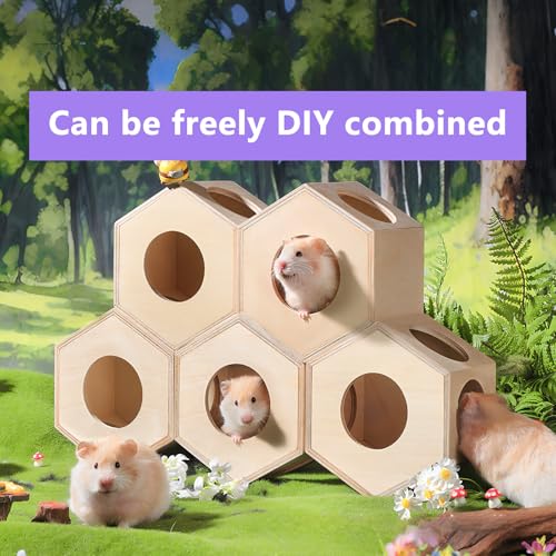 Dwarf Hamster Hideout – Versatile Wooden House for Small Animals, Gecko, Lizard & Rat Hideout, Smoothly Polished, Ideal for Bedroom or Granary
