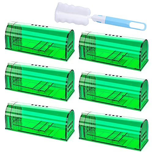 6 Pcs Humane Reusable Live Mouse Mice Traps Indoor Catcher for Home | Green, PC Material, Reusable Capture & Release, Use for Indoor, Waterproof - size: 6 Pack