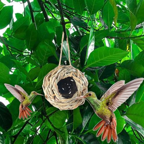 TIHOOD 4PCS 5.5inch Hanging Hummingbird Nest House for Outside, Ball Shape, Hand Woven, Durable Sturdy, Made of Natural Grass, Perfect for Garden Patio Lawn Office Indoor