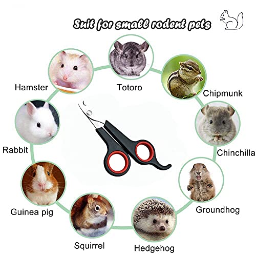 Rabbit Nail Clippers and Trimmers Stainless Steel Pet Claw Grinding Scissors for Small Breeds Cats Guinea Pig Puppy Ferret Hamsters Chinchilla Sugar Glider Grooming Tool Set (Black)