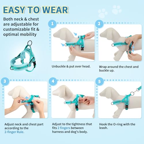 SlowTon No Pull Small Dog Harness and Leash Set with Front Clip | Soft Padded, Neck & Chest Adjustable, Lightweight, Anti-Twist, Puppy Vest Harness Pet Lead Combo for Small Medium Dog, TL XXS - color: Teal, size: XX-Small