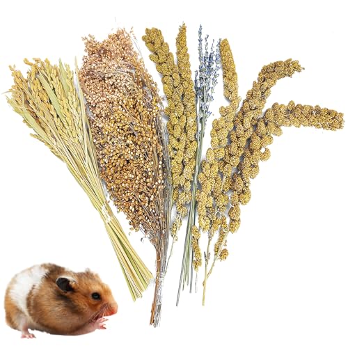 Fhiny Natural Hamster Bedding Mate, Edible Hamster Sprays Flowers & Herbs Gerbil Habitat Enclosure Decor Grain Treats Cage Accessories for Dwarf Syrian Hamster Gerbil Degus Lemming Mice