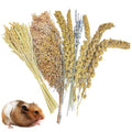 Fhiny Natural Hamster Bedding Mate, Edible Hamster Sprays Flowers & Herbs Gerbil Habitat Enclosure Decor Grain Treats Cage Accessories for Dwarf Syrian Hamster Gerbil Degus Lemming Mice