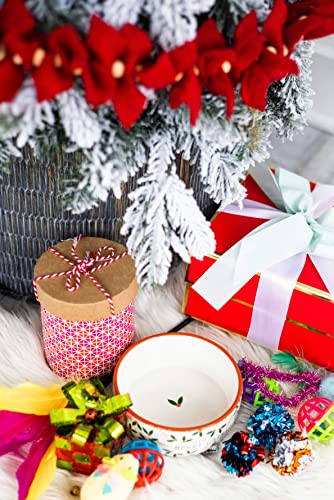 Pearhead Ceramic Merry Catmas Cat Bowl, Holds 12 oz, Holiday Christmas Design, Seasonal Pet Food and Water Dish - color: Merry Catmas, size: Single Bowl