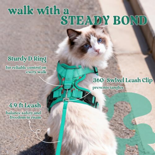 rabbitgoo Cat Harness and Leash Set, Escape Proof Vest, Cherry Grove | Soft Breathable Mesh, Easy Adjustable Fit, Snap Buckles, Sturdy Clip, Reflective Strips, for Kittens & Small Cats Walks, Xxs - color: Cherry Grove, size: Xxs