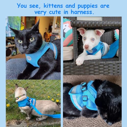Cat Harnesses and Puppy Harness with Leashes Set, Escape Proof Cat Harness, Adjustable Reflective Soft Mesh Vest Fit Puppy Kitten Rabbit Ferrets's Outdoor Harness - color: SkyBlue, size: S (Chest: 9" - 11")