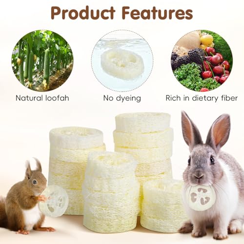 Veemoon 20pcs Hamster Bunny Pet Chewing Toy, Natural Loofah Small Animal Chew Tool Pet Molar Toy for Guinea Pig Chinchilla Hamster Rat Tooth Cleaning and Oral Care Stress Relief Entertainment