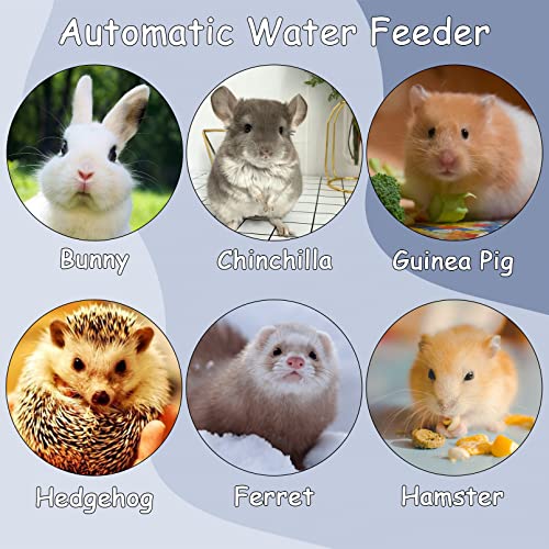 Tfwadmx Rabbit Watter Bottle 17oz Hanging Guinea Pig Automatic Water Dispenser No Drip Small Animal Cage Water Feeder Bowl for Bunny Chinchilla Hedgehog Ferret 2PCS (Blue) - color: Gray Watere 2pcs