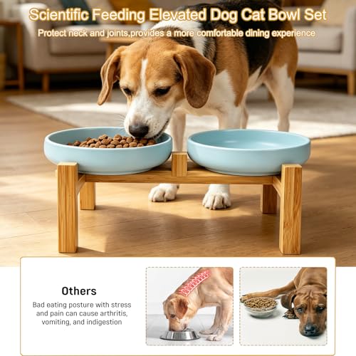 Shallow Elevated Cat Bowls with Bamboo Stand, 6.1 Inch Wide Ceramic Cat Dish Whisker Friendly, 2 Pack Pet Food and Water Plates - color: Sky blue elevated