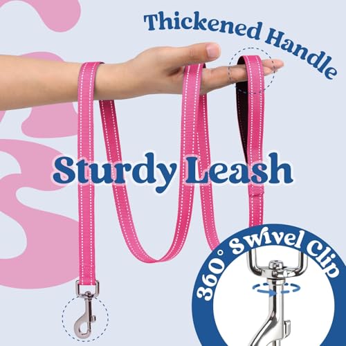 rabbitgoo Dog Harness Small Sized and Leash Set, Step in Soft Vest | Breathable Mesh, Easy Wear with Hook & Loop, Light and Reflective for Walking, Multi-colored, Navy Blue & Rose Red, XXS - color: Navy Blue & Rose Red, size: XXS (Chest: 12.4"-14.2")