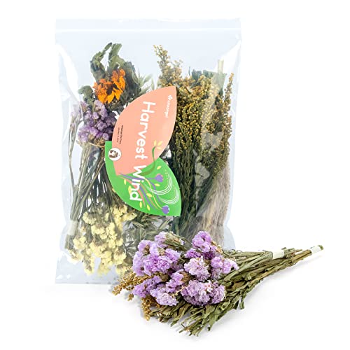 Niteangel Natural & Soft Hamster Bedding Mate Small Animal Habitat Decor for Syrian Dwarf Hamsters Gerbils Mice Degus Bunny or Other Small-Sized Pet (Flower Version) - size: Flower Version