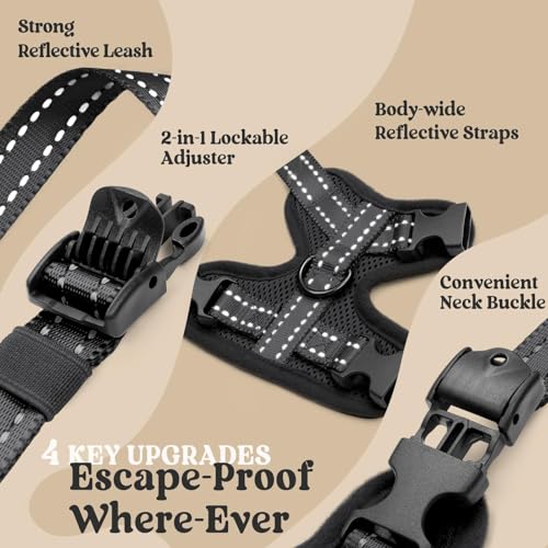 rabbitgoo Cat Harness and Leash, Easy-on with Neck Buckle, Black | Escape Proof, No Over-the-head, Soft Air Mesh, 3 Lockable Adjusters & Buckles, Reflective, for Small to Average Cats Walks, S - color: Black, size: S