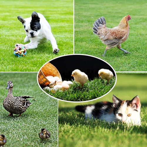 VERAMI Chicken Nesting Box Pads,12"x12" Washable Artificial Grass Rug Carpet Fake Grass Synthetic Turf Mat for Chicken Coop Pet Garden Lawn Indoor Outdoor (Green-6 pcs)