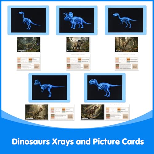 15 Pcs Dinosaur Xrays & Creatures Cards - Light Table Toys | Mythical Creatures Science Kit for Role Play - style: Dinosaur Series
