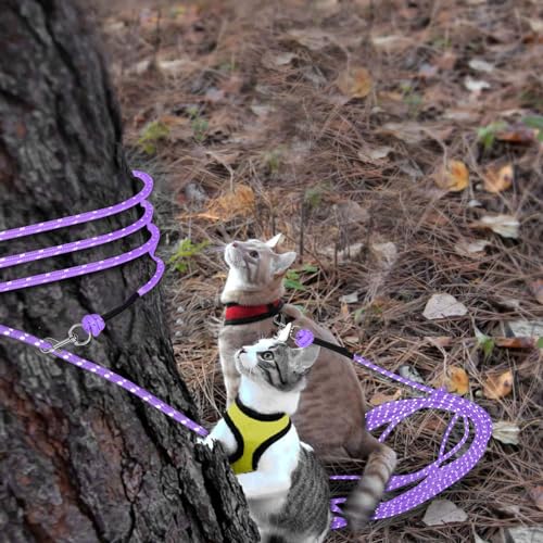 Reflective Cat Long Leash 15 FT, Outdoor Backyard Cat Tie Out Lead,Purple | Backyard Play, Reflective Nylon Rope, Dual 360° Swivel Hooks, Lightweight Cat Tie Out,Purple S, Small Pets - color: Purple, size: 15 FT