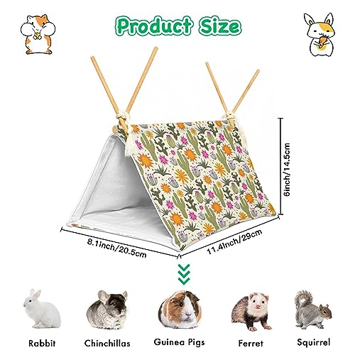 Bearded Dragon Reptile Sleeping Bed Tent Hide Tank Decor Accessories Habitat Shelter for Lizard Bearded Dragon Leopard Gecko (Cactus 1)