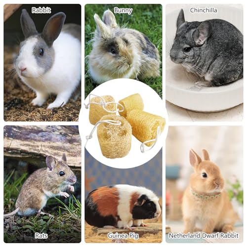 12 Pcs Rabbit Chew Toys Natural Bunny Loofah Chew Toy Chinchilla Teeth Grinding Toys Guinea Pig Fibre-Rich Treats Enrichment Bunny Accessories for Rabbits Hamster (M) - color: M- (12 PCS)