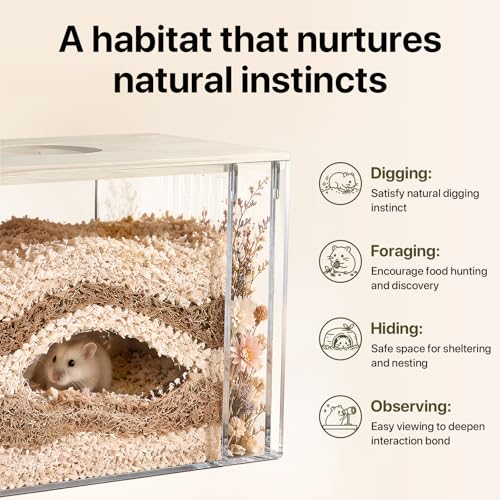 Fully Detachable Hamster Digging Box, Removable Acrylic Panels & Wooden Lid, Extra Deep Clear Panoramic Burrow, Dual-Side DIY Habitat, M Size for Syrian Hamsters, Gerbils, Degus - size: 8.7"L x 6.1"W x 6.3"H