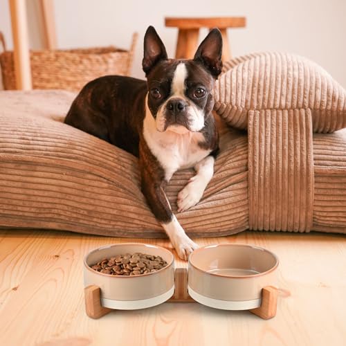 SPUNKYJUNKY Ceramic Dog and Cat Bowl Set with Wooden Stand, Modern Cute Weighted Food Water Bowl Set for Small Size Dogs (1.7 Cups, 2 × Pattern Brown) - color: Pattern Brown × 2, size: 1.7 cups