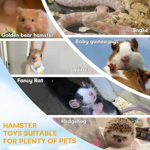 Hamiledyi Wooden Hamsters 2-Chamber Hideout-Tunnel Multi Chamber Exploring Toy Rat 14 x 6.3 x 5.5 Exploring Tunnel Toy for Mice Guinea Pig Squirrel Sugar Glider - size: XL