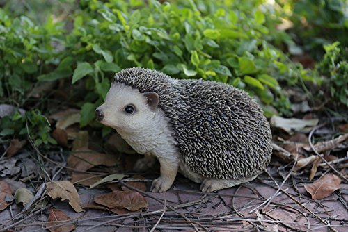 Hi-Line Gift Ltd Crawling Hedgehog Statue,Tan